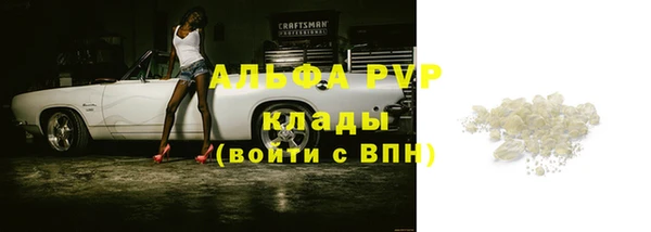первитин Богданович