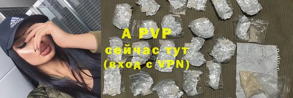apvp Снежинск