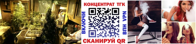 закладка  OMG зеркало  ТГК THC oil  Городец 