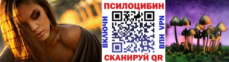 Псилоцибиновые грибы GOLDEN TEACHER  закладка  Городец 
