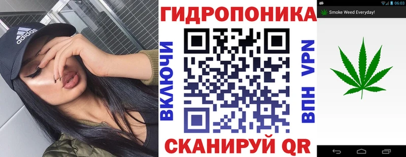 где купить наркотик  omg как войти  Конопля индика  Городец 